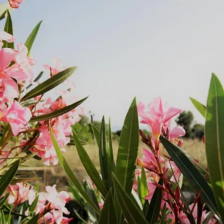 Hotel Casona Granado 3*