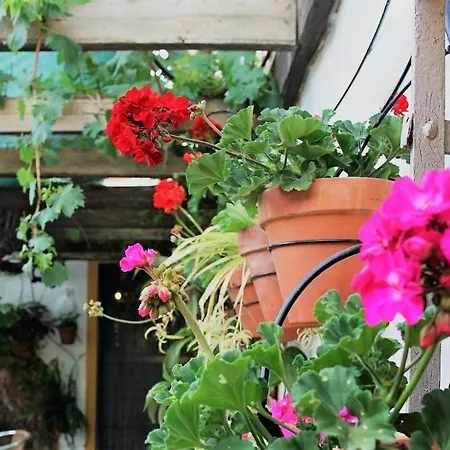 Casona Granado Hotel