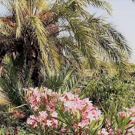 Casona Granado Hotel El Pilar y Provincias