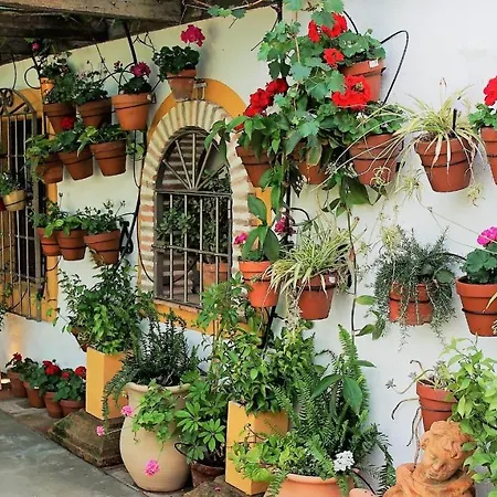 Casona Granado Hotel 3*
