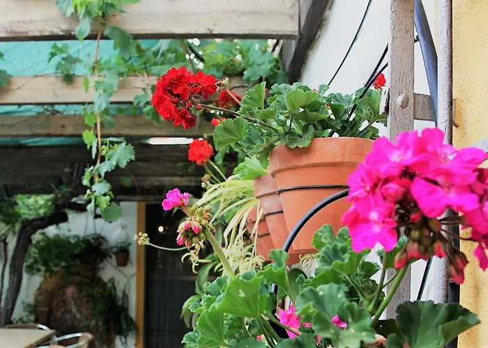 Casona Granado Hotel 3*